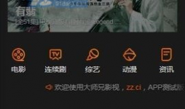 大师兄视频,探寻武术传承与精神内核